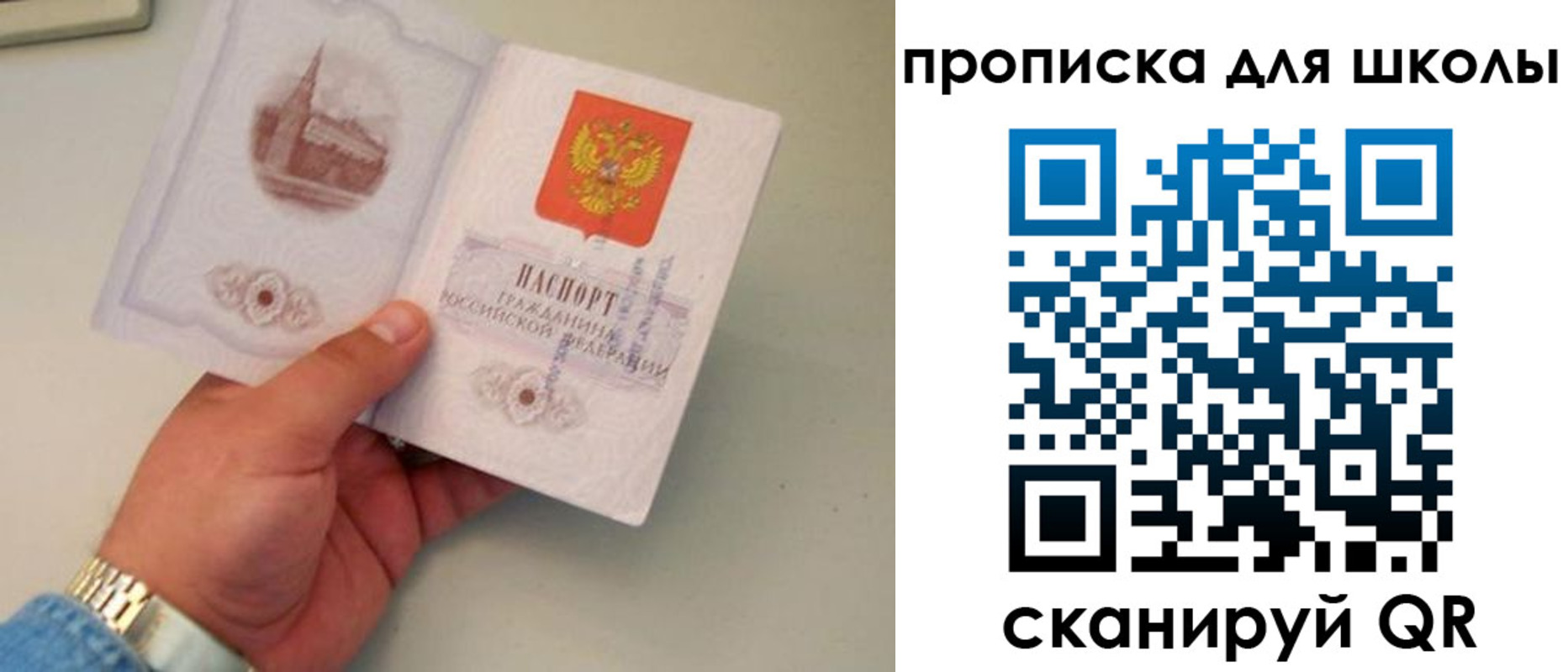 временная регистрация гарантия в Химках