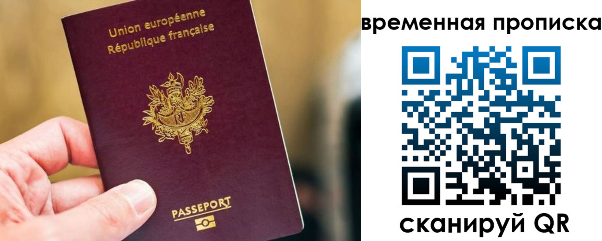 прописка для школы в Химках